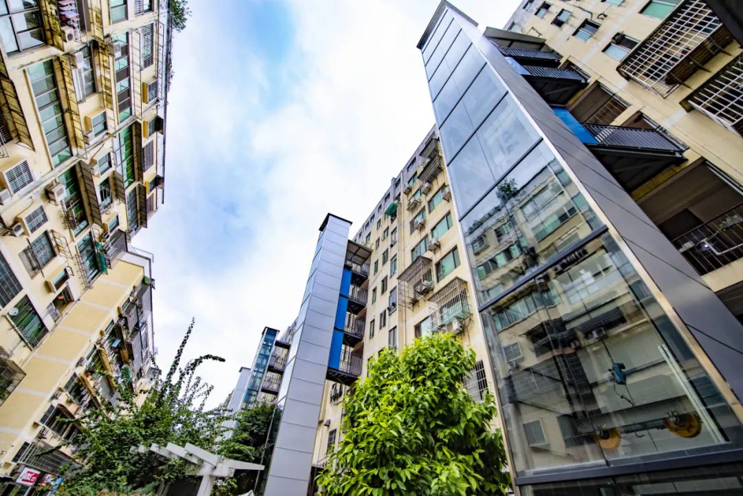 1656500014206295.jpg 1.jpg