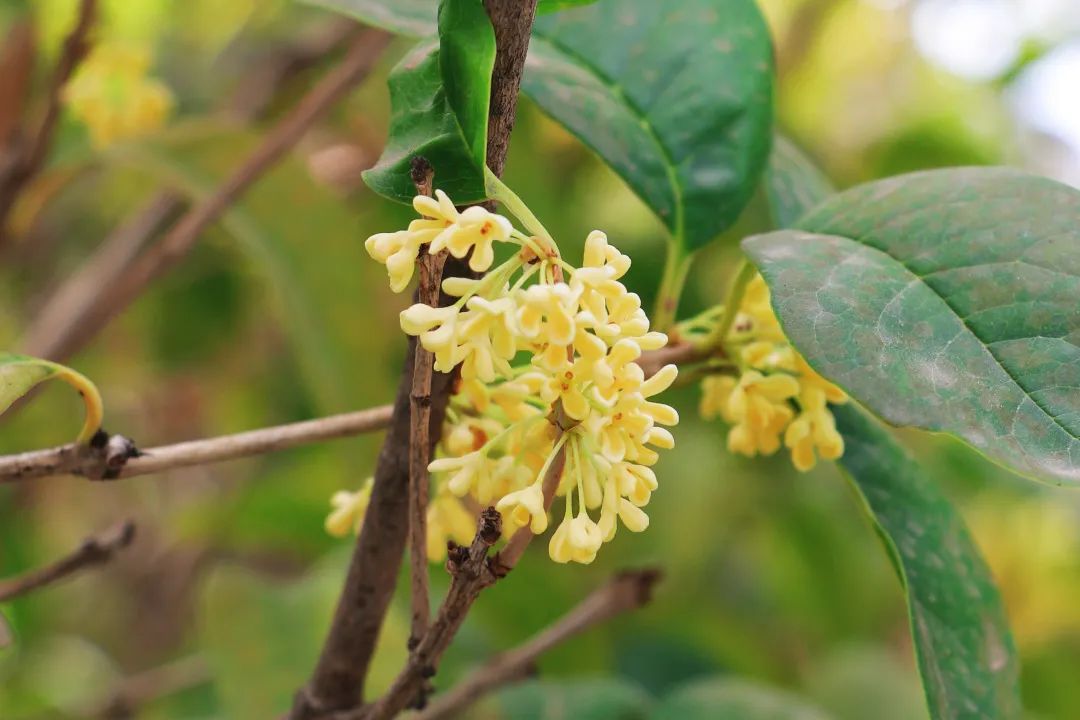 1666402427802716.jpg 6.jpg